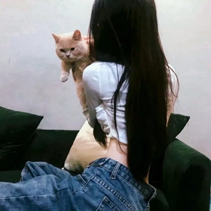 系紧你的安全带海报