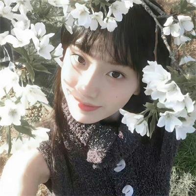 天国之门海报