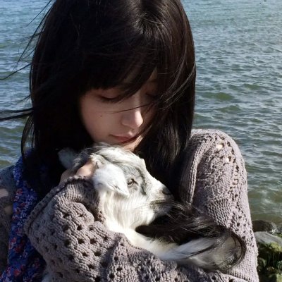 我的野蛮女教师海报