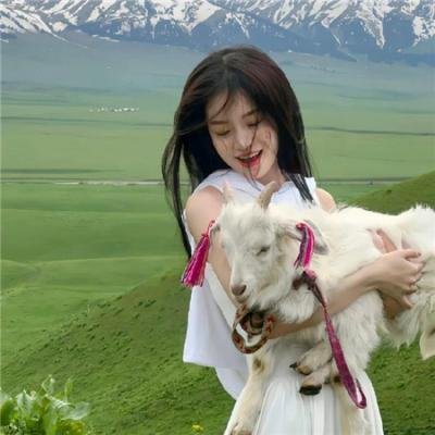 圣麒麟传说海报