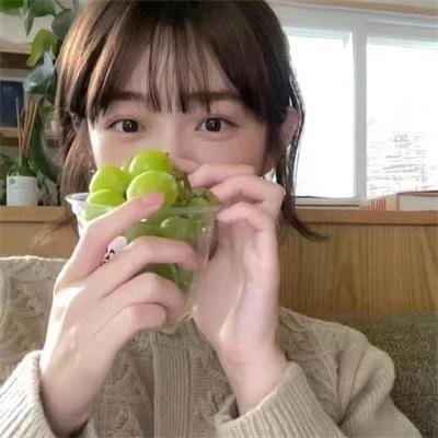 牛群海报