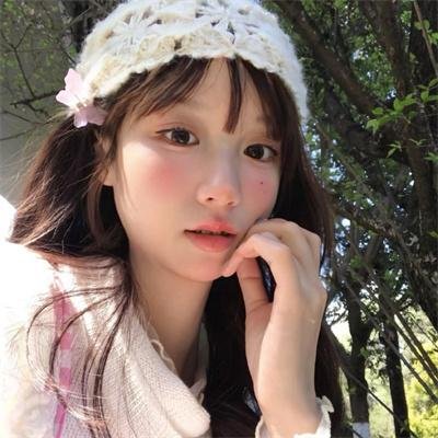 甄嬛传海报